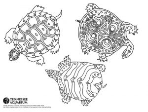 coloring sheet with three turtles