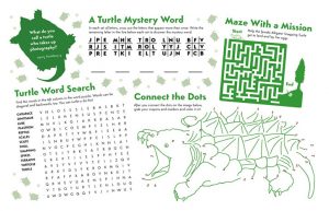 printable turtle activity sheet