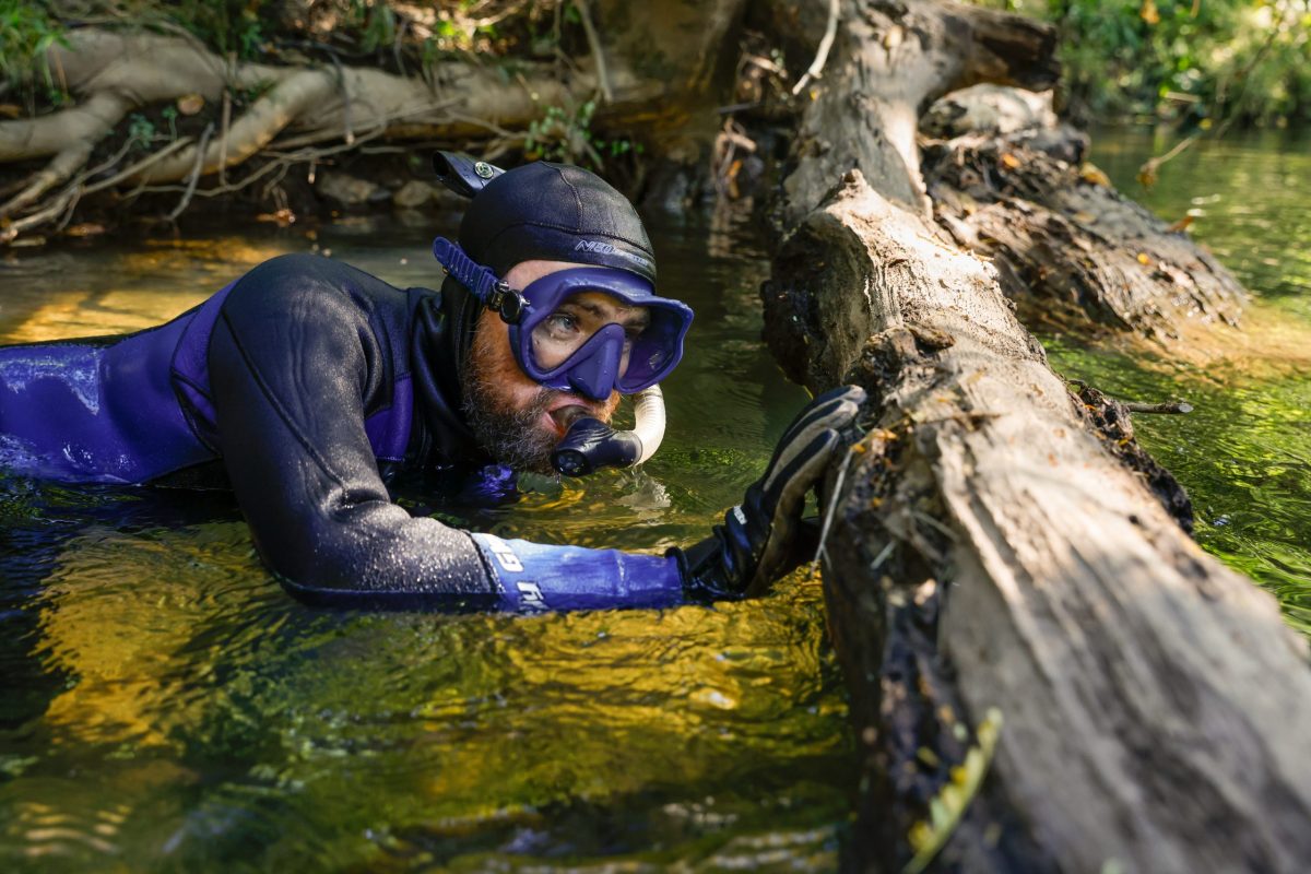 Senior Aquarist Ben Stenger pauses before dipping back below the surface of Holly Creek in pursuit of Bridled Darters