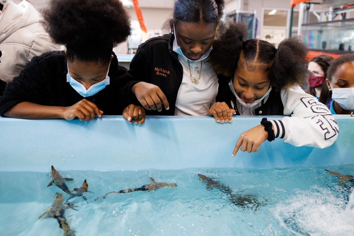 Students from Chattanooga Girls Leadership Academy get an up-close look at juvenile Lake Sturgeon at the Tennessee Aquarium Conservation Institute